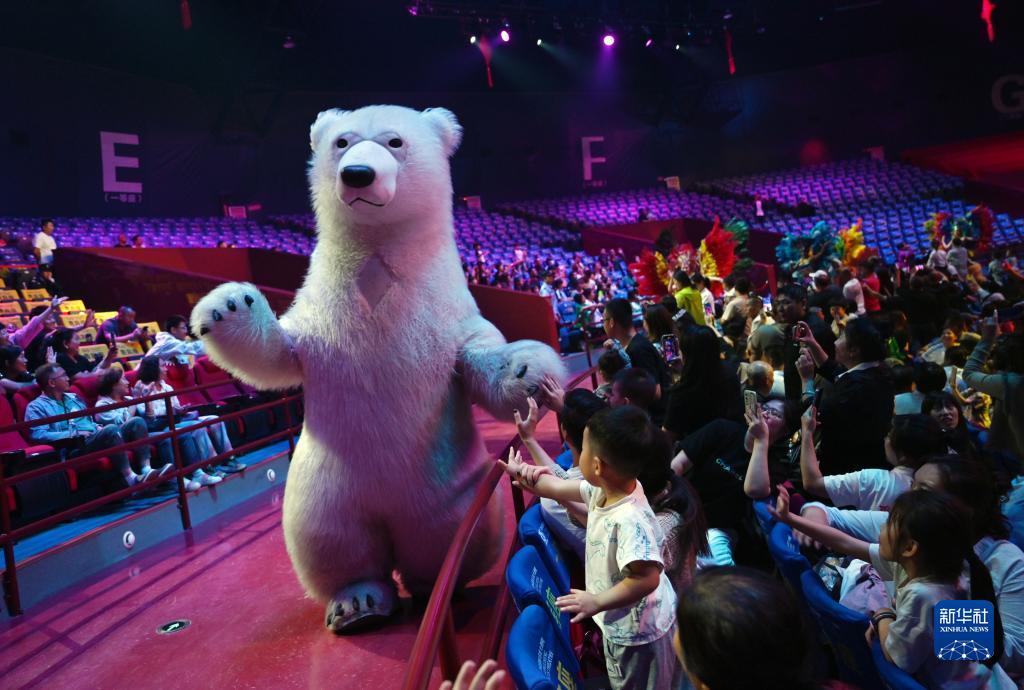 五龙争霸下载